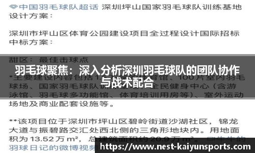 羽毛球聚焦:深入分析深圳羽毛球队的团队协作与战术配合